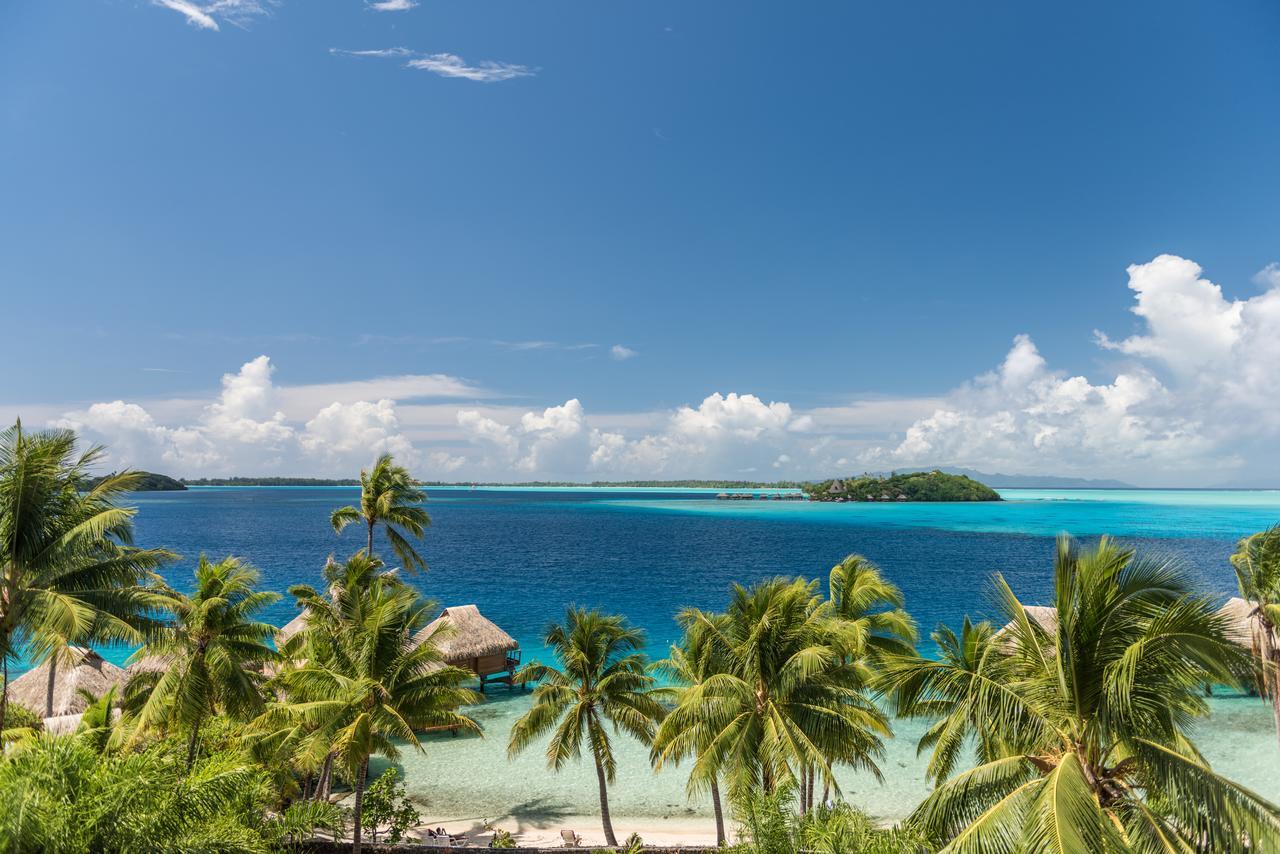 King Room with Ocean View