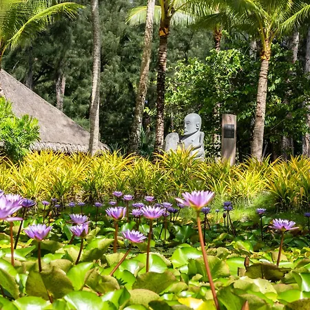 Le Bora Bora By Pearl Resorts-2