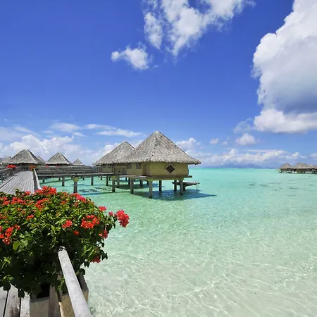 Intercontinental Bora Bora Le Moana Resort By Ihg-3